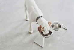 Double écuelle Design Pour Chien Cena -Chats Chiens Produits Magasin mc c06 006 01 s eat cena stone duke 6 243