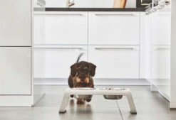 Double écuelle Surélevée Design Pour Chien Desco Bois 11 Double écuelle Surélevée Design Pour Chien Desco Bois -Chats Chiens Produits Magasin mc c06 007 02 m eat desco ash white simba 2205 2