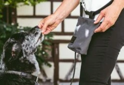 Sac à Récompenses Lupo Miacara 14 Sac à Récompenses Lupo Miacara -Chats Chiens Produits Magasin mc c13 006 01 accessories lupo snack bag graphite 6