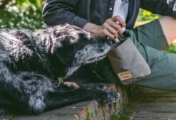 Sac à Récompenses Lupo Miacara 15 Sac à Récompenses Lupo Miacara -Chats Chiens Produits Magasin mc c13 006 02 accessories lupo snack bag taupe 8