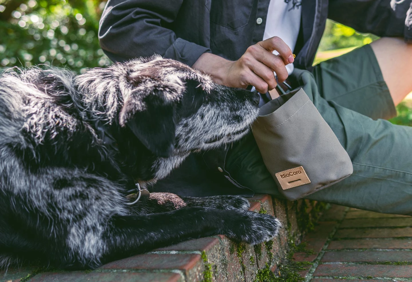 Sac à Récompenses Lupo Miacara 7 Sac à Récompenses Lupo Miacara – Image 7