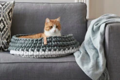 Panier Pour Chat Nido -Chats Chiens Produits Magasin mc g02 005 02 sleep nido grey singa 2 261 web 1 67c500f2 ec6e 4f82 9813 cd3b4e15c214