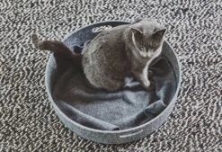 Panier Pour Chat Design Cesto -Chats Chiens Produits Magasin mc g02 008 01 sleep cesto concrete mia 1423 984