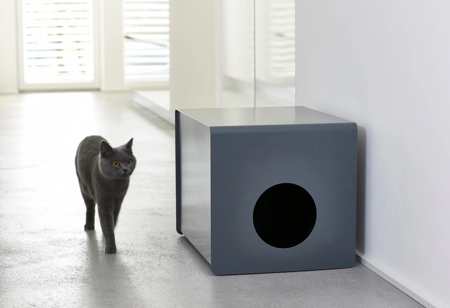 Insert Pour Maison De Toilette Sito 2 Insert Pour Maison De Toilette Sito – Image 2