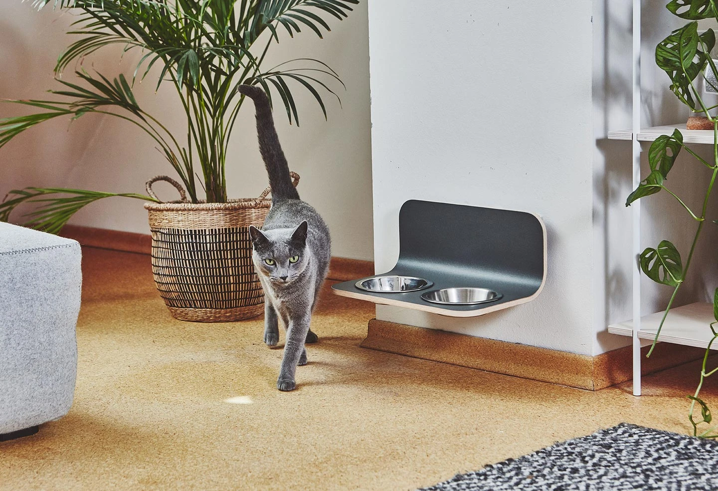 Bols Surélevés Pour Chat Arco 2 Bols Surélevés Pour Chat Arco – Image 2