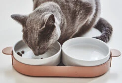Bols Doubles Pour Chat Tavoletta 9 Bols Doubles Pour Chat Tavoletta -Chats Chiens Produits Magasin mc g06 010 02 eat tavoletta cat feeder nude mia 06 1