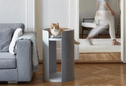 Coussin Pour Chat Pour Arbre à Chat Torre 15 Coussin Pour Chat Pour Arbre à Chat Torre -Chats Chiens Produits Magasin mc g08 003 02 s climb torre ash wood grey singa 1 035 galerie 1 5d37ef26 a625 454f 9159 0f89c7b7563d