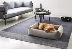 Lit Pour Chien Orthopédique Mare 9 Lit Pour Chien Orthopédique Mare -Chats Chiens Produits Magasin mc mare sand 2 recolored