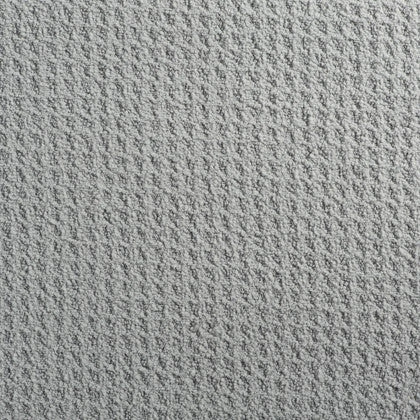 Serviette Absorbante Pour Chien Microfibres 2 Serviette Absorbante Pour Chien Microfibres – Image 2