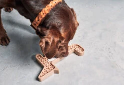 Jeu D'activité Volpe -Chats Chiens Produits Magasin mc volpe nude2