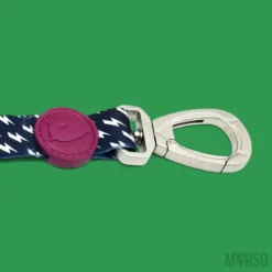 Laisse Power Flow 5 Laisse Power Flow -Chats Chiens Produits Magasin morso guinzaglio power flow img 01