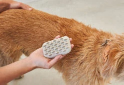Brosse Pour Chien (poil Court Et Long) -Chats Chiens Produits Magasin pelo bildergalerie2