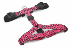 Harnais En H Pour Chien Bubble Leo