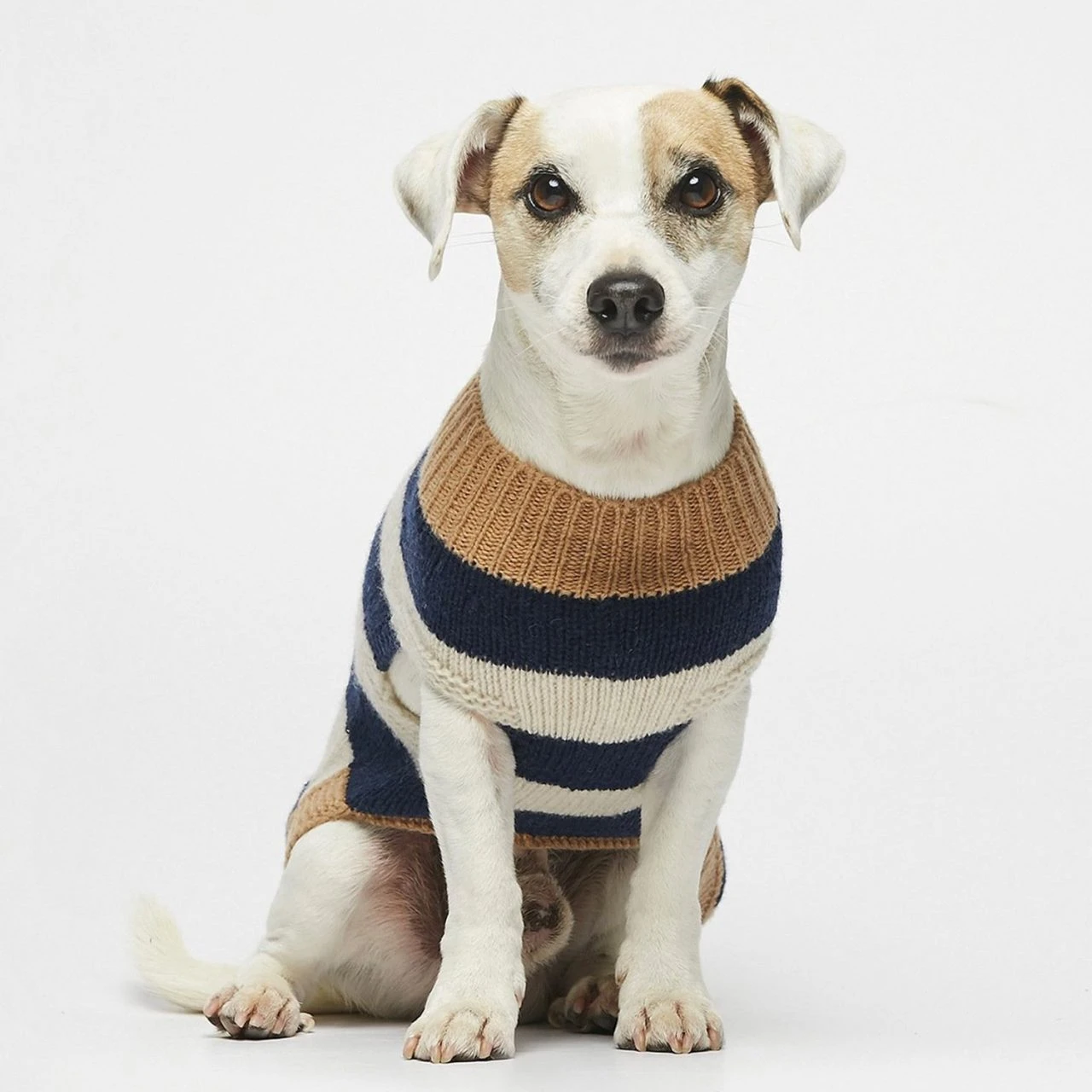 Pull Pour Chien En Laine Anni 2 Pull Pour Chien En Laine Anni – Image 2