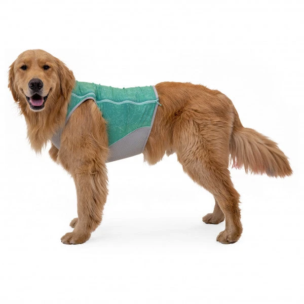 Gilet Rafraichissant Pour Chien Ruffwear Swamp Cooler 2 Gilet Rafraichissant Pour Chien Ruffwear Swamp Cooler – Image 2