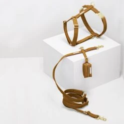 Porte Sacs à Excréments See Scout Sleep -Chats Chiens Produits Magasin seescoutsleep scot harnessset breen