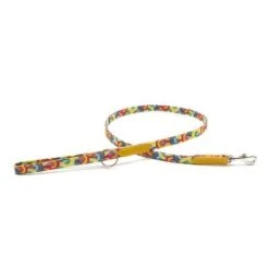 Laisse Over The Rainbow