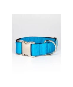 Collier Pour Chien Solid Turquoise