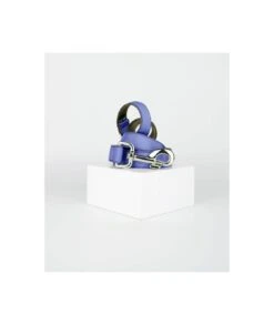 Laisse Pour Chien Unie Bleu Serenity
