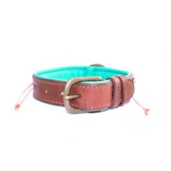 Collier En Cuir Et Perles Sweet Mae Dwam 9 Collier En Cuir Et Perles Sweet Mae Dwam -Chats Chiens Produits Magasin sweet mae 2 5 cm collar m 5750 en G