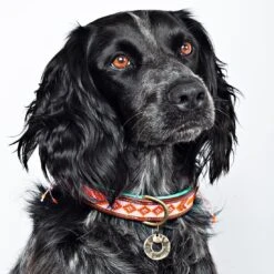 Collier En Cuir Et Perles Sweet Mae Dwam 11 Collier En Cuir Et Perles Sweet Mae Dwam -Chats Chiens Produits Magasin sweet mae 2 5 cm collar m 6368 en G