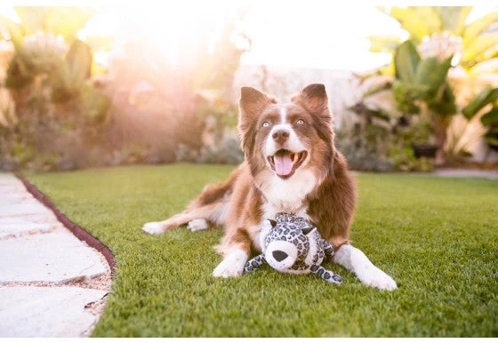 PLAY Peluche Leo Le Léopard Des Neiges Collection Safari 2 PLAY Peluche Leo Le Léopard Des Neiges Collection Safari – Image 2