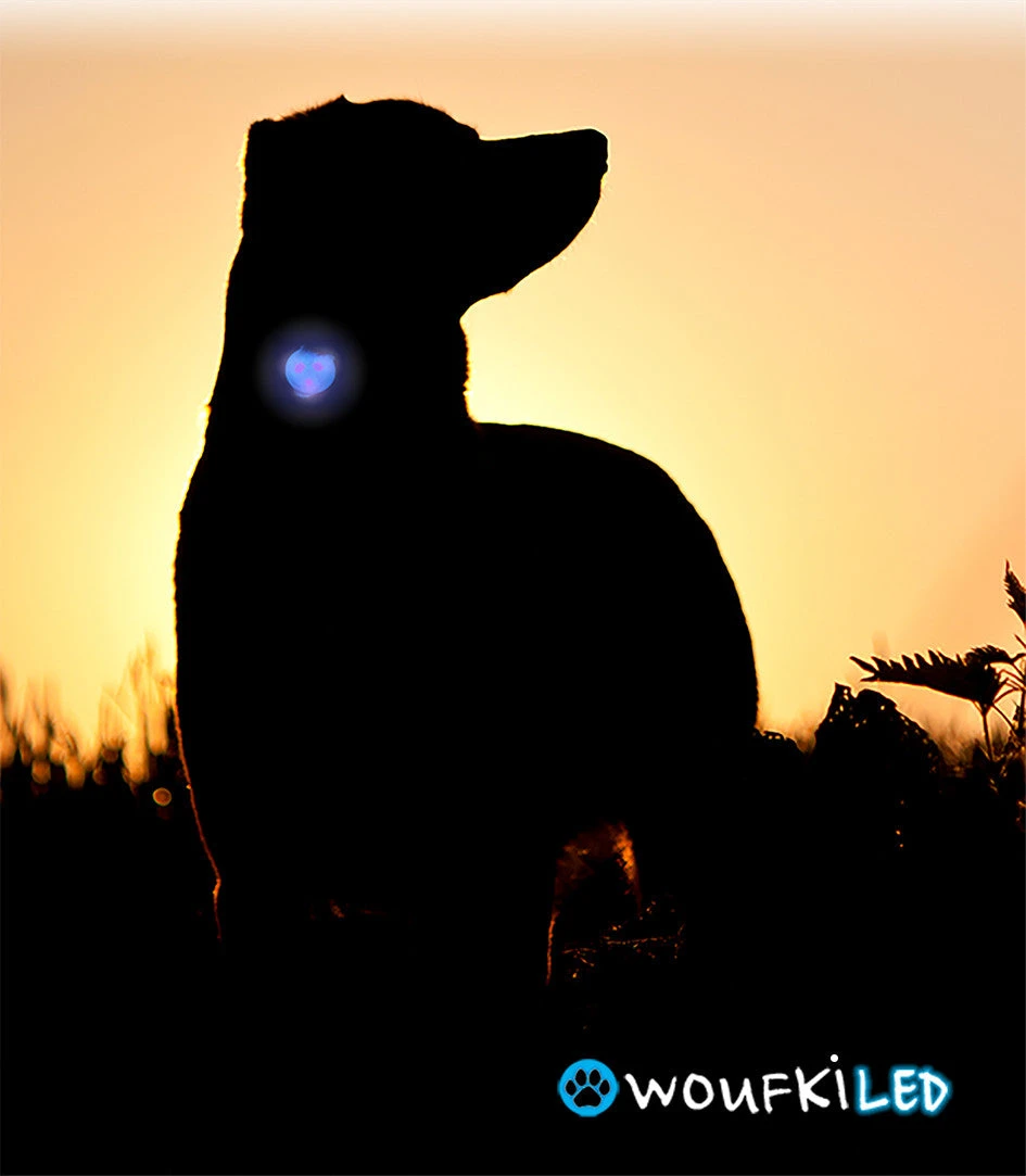 Woufki Led - Lumière De Sécurité 2 Woufki Led - Lumière De Sécurité – Image 2